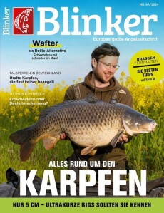 Cover von Blinker