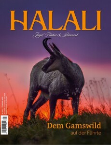 Cover von Halali