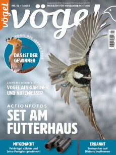 Cover von Vögel