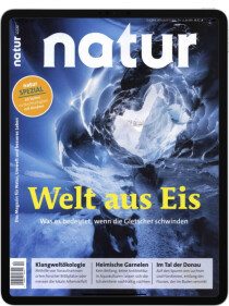 Cover von Natur E-Paper