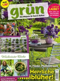 Cover von Grün - Kreativ mit Blumen & Pflanzen