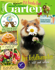 Cover von Frieda & Paul - Mein kleiner schöner Garten