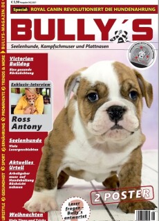 Cover von Bullys
