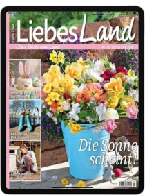 Cover von Liebes Land E-Paper